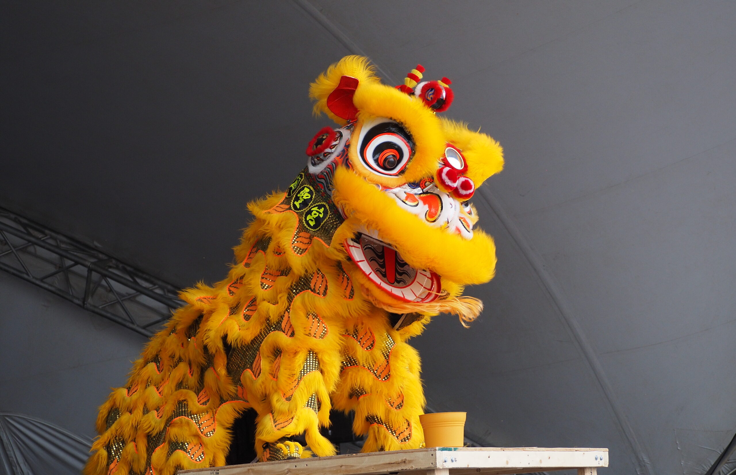 Gold and orange colored Chinese lion dance. The lion is standing on top of a table prop
